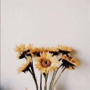 Meet your Posher, Amberly